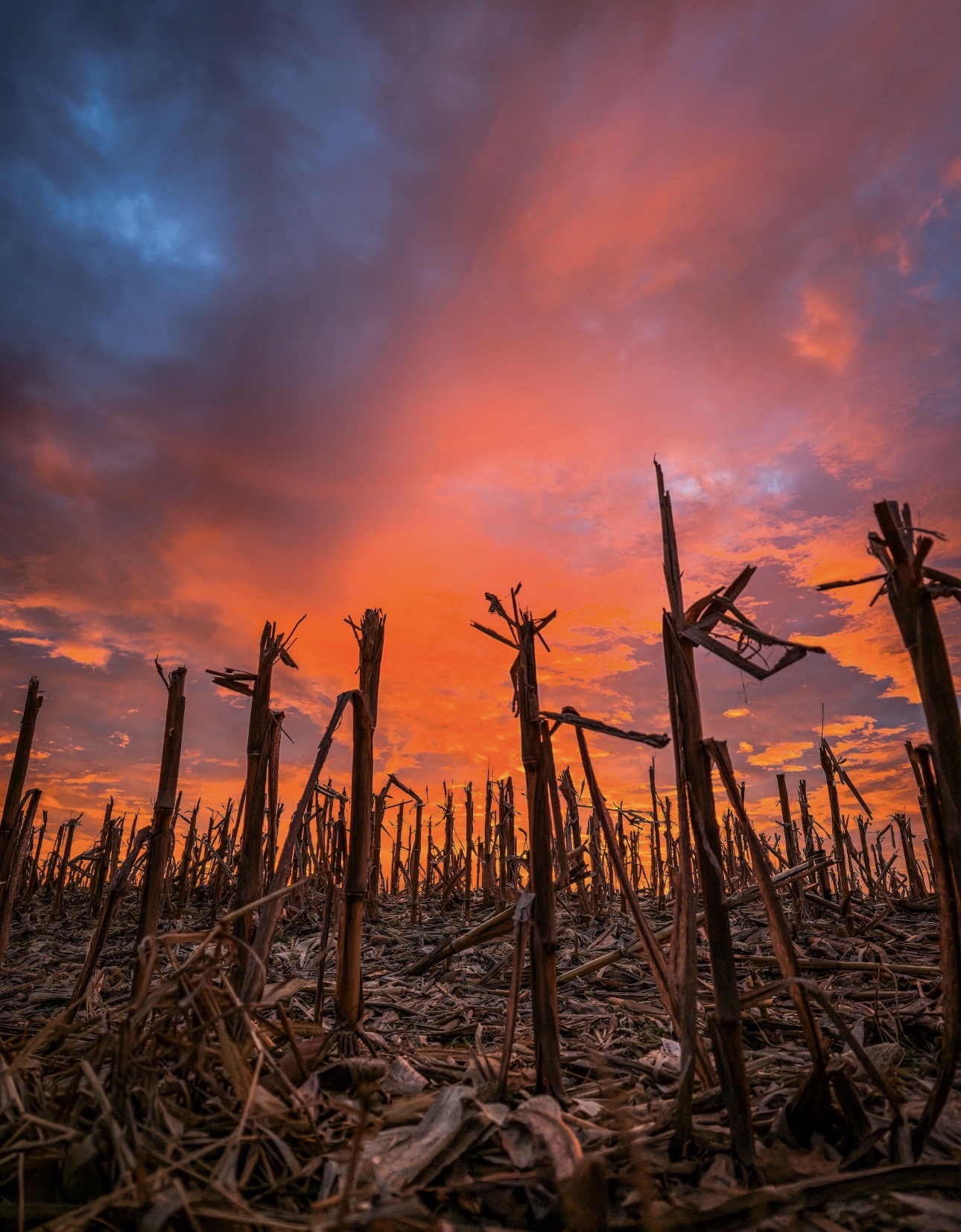 Provide an image for your event