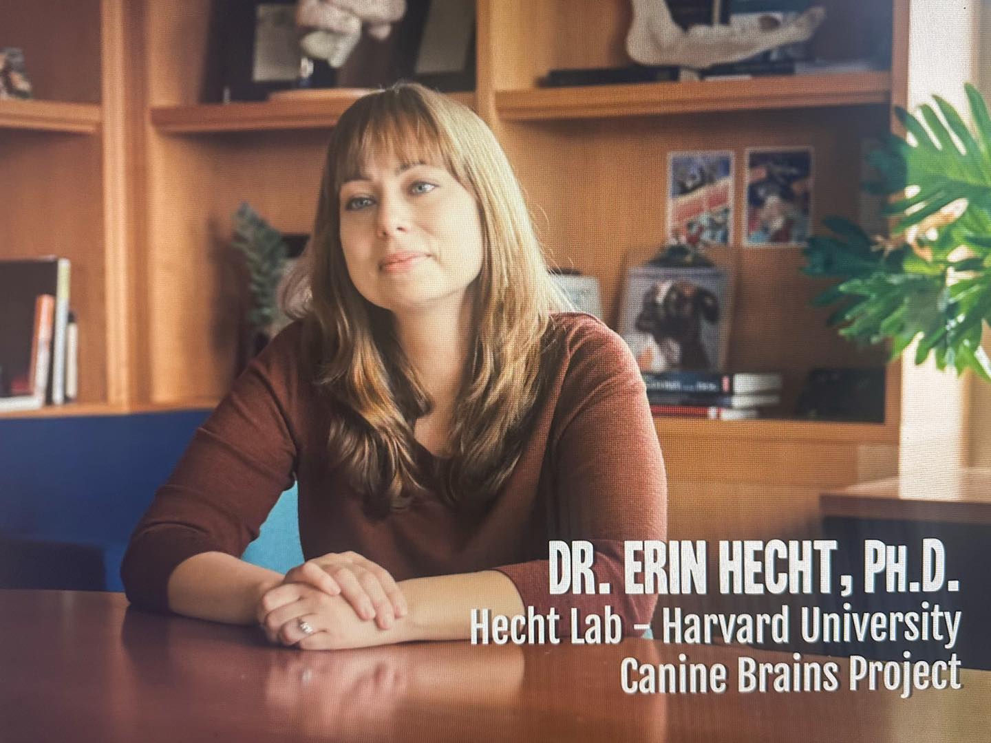 Mansfield to Harvard: St. Peter’s graduate featured in Netflix ...