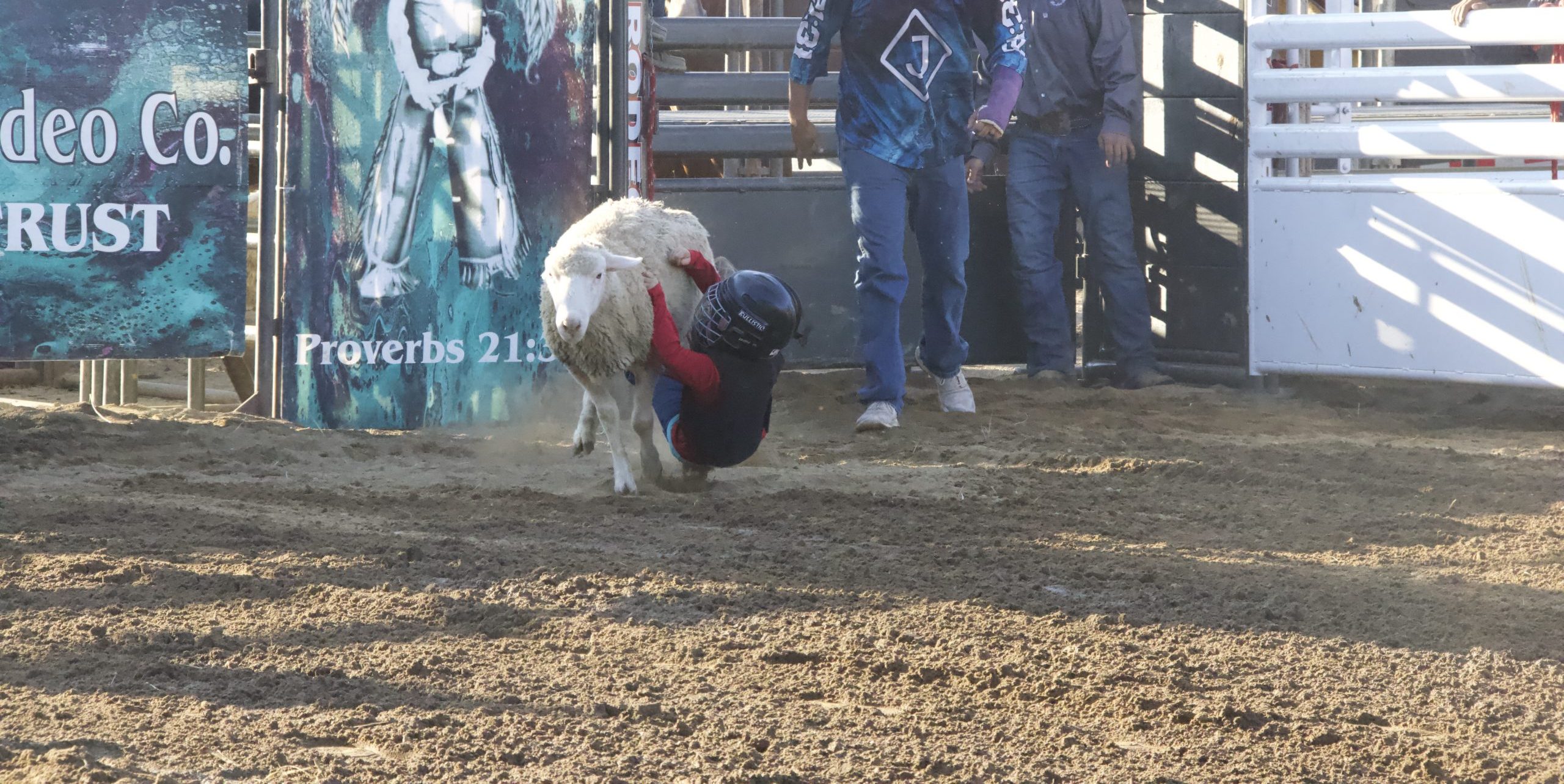Ashland County Fair brings rodeo fun to kids with 'Mutton Bustin' debut