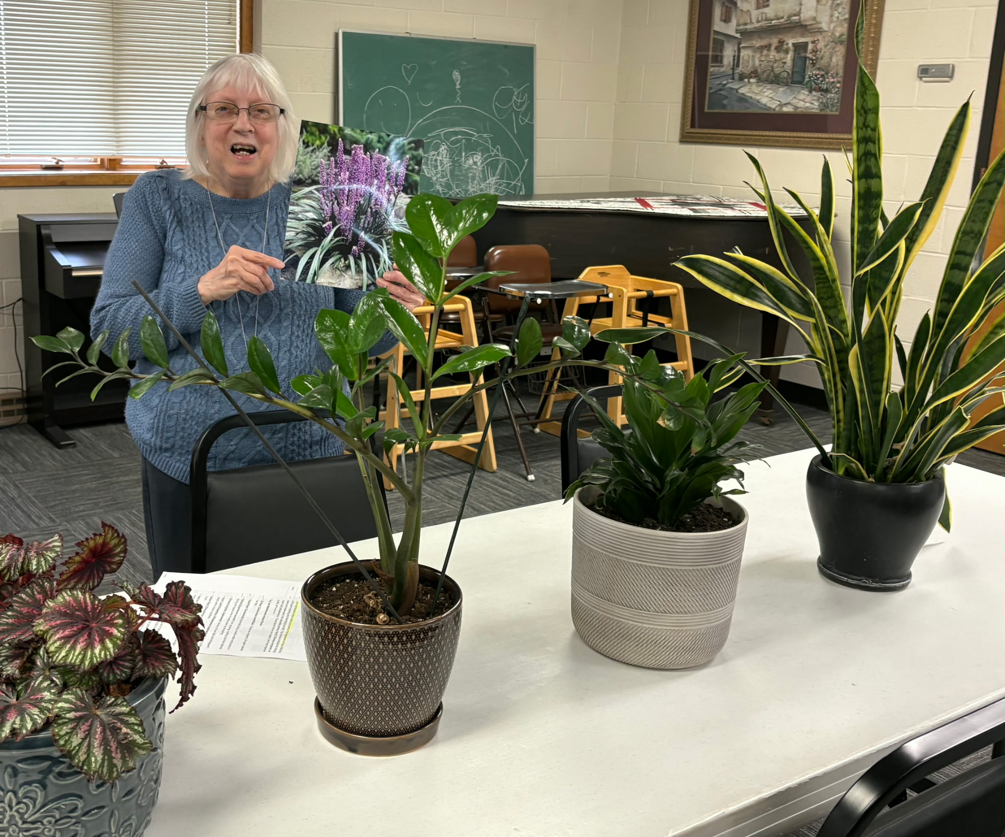 Art of Gardening Club begins scouting for Yard of the Month